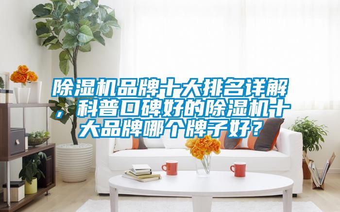 除濕機(jī)品牌十大排名詳解，科普口碑好的除濕機(jī)十大品牌哪個(gè)牌子好？