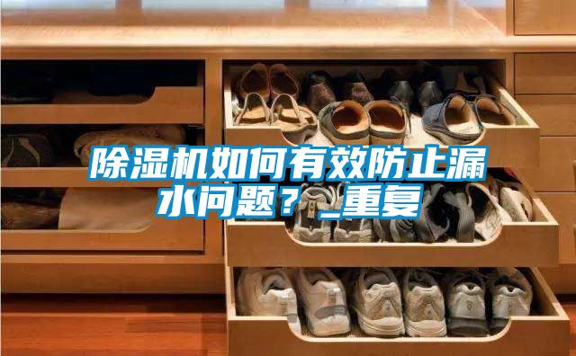 除濕機(jī)如何有效防止漏水問(wèn)題？_重復(fù)