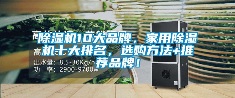 除濕機10大品牌，家用除濕機十大排名，選購方法+推薦品牌！