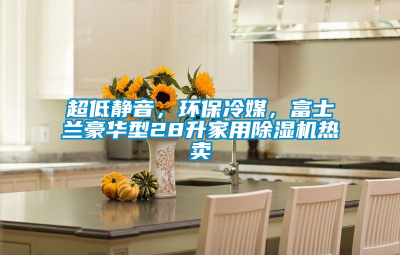 超低靜音，環(huán)保冷媒，富士蘭豪華型28升家用除濕機(jī)熱賣(mài)