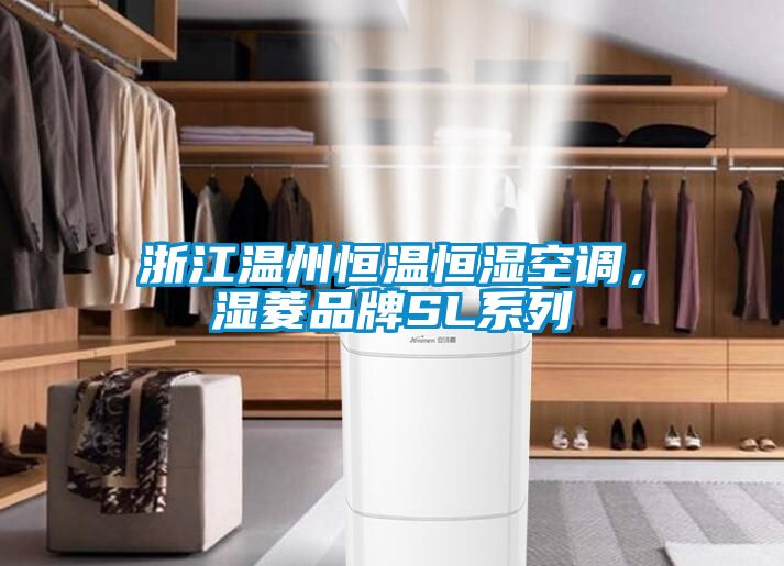 浙江溫州恒溫恒濕空調，濕菱品牌SL系列
