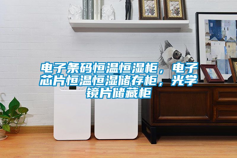 電子條碼恒溫恒濕柜，電子芯片恒溫恒濕儲(chǔ)存柜，光學(xué)鏡片儲(chǔ)藏柜