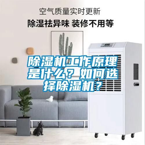 除濕機(jī)工作原理是什么？如何選擇除濕機(jī)？