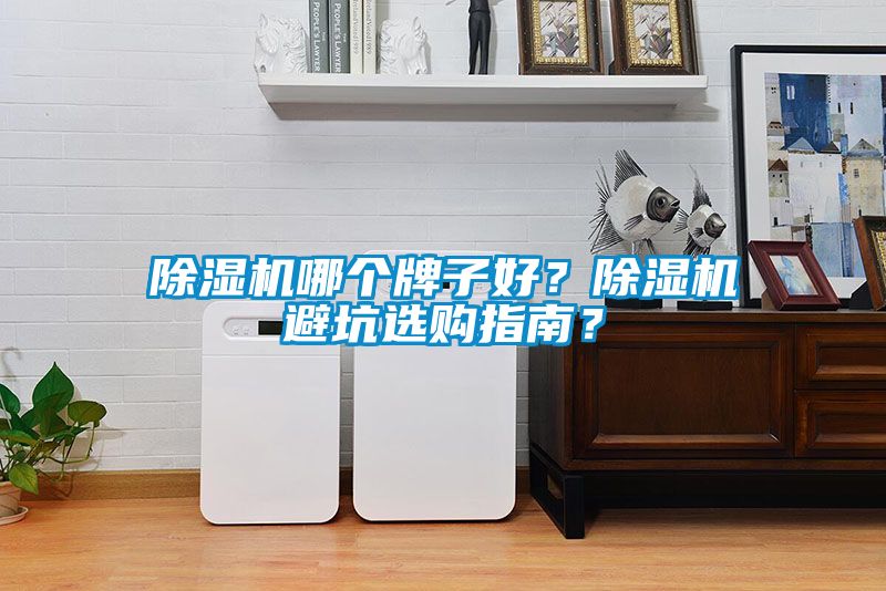 除濕機(jī)哪個(gè)牌子好？除濕機(jī)避坑選購(gòu)指南？