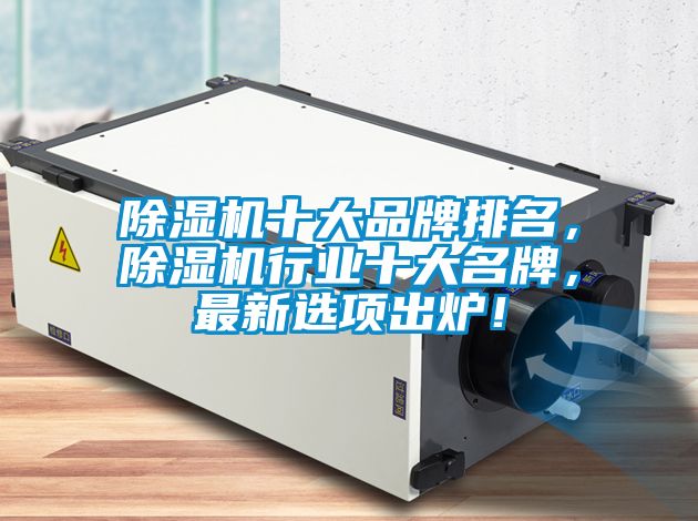除濕機(jī)十大品牌排名，除濕機(jī)行業(yè)十大名牌，最新選項(xiàng)出爐！