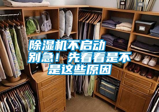 除濕機不啟動   別急！先看看是不是這些原因