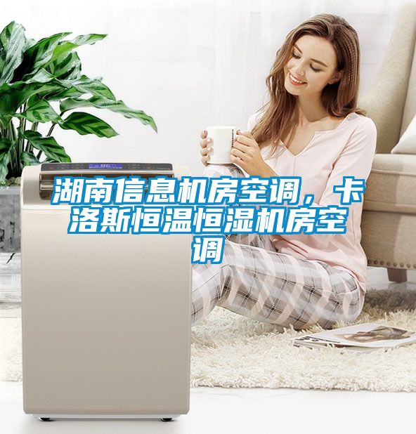 湖南信息機(jī)房空調(diào)，卡洛斯恒溫恒濕機(jī)房空調(diào)