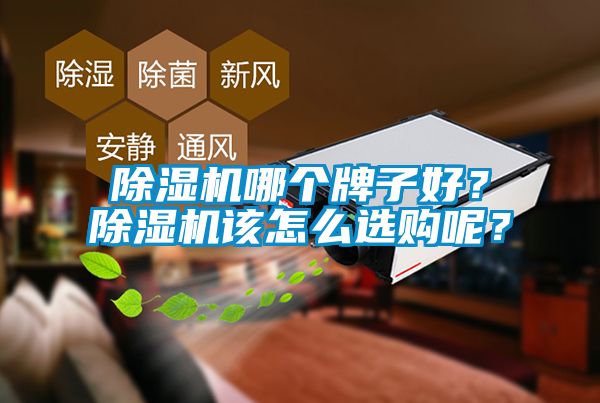 除濕機(jī)哪個牌子好？除濕機(jī)該怎么選購呢？