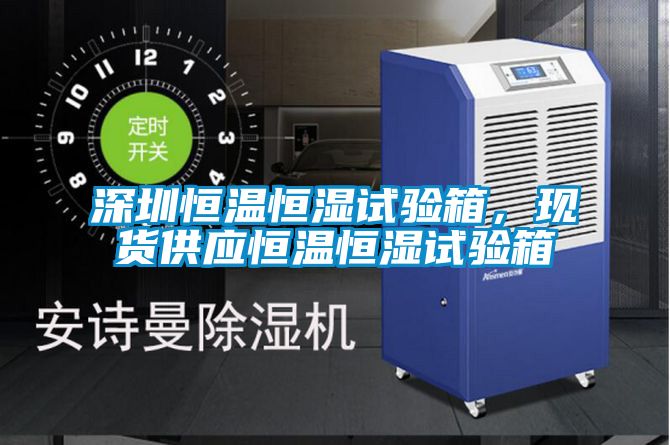 深圳恒溫恒濕試驗(yàn)箱，現(xiàn)貨供應(yīng)恒溫恒濕試驗(yàn)箱