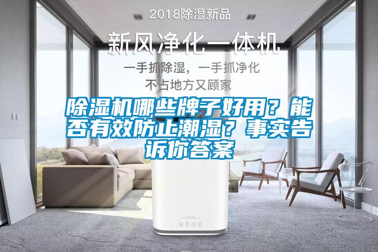 除濕機(jī)哪些牌子好用？能否有效防止潮濕？事實(shí)告訴你答案