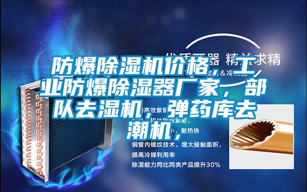 防爆除濕機(jī)價(jià)格，工業(yè)防爆除濕器廠家，部隊(duì)去濕機(jī)，彈藥庫去潮機(jī)，