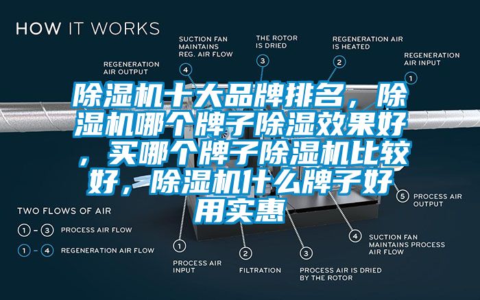 除濕機(jī)十大品牌排名，除濕機(jī)哪個(gè)牌子除濕效果好，買(mǎi)哪個(gè)牌子除濕機(jī)比較好，除濕機(jī)什么牌子好用實(shí)惠