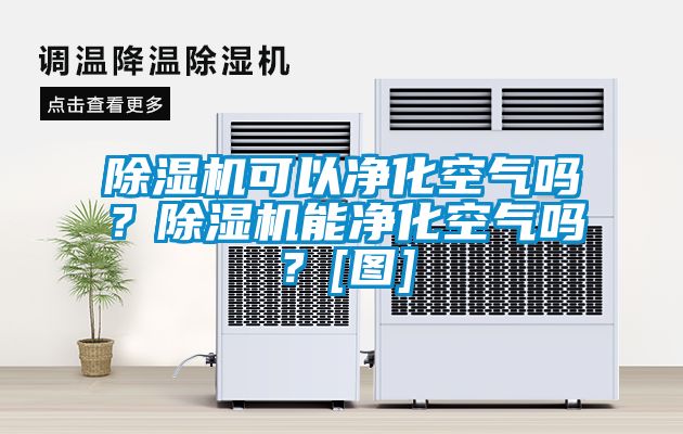 除濕機可以凈化空氣嗎？除濕機能凈化空氣嗎？[圖]