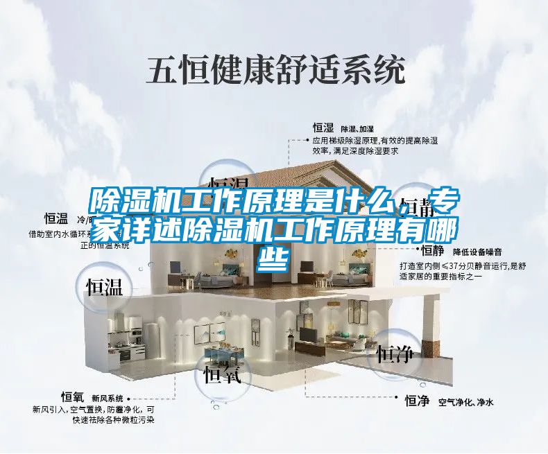 除濕機(jī)工作原理是什么，專家詳述除濕機(jī)工作原理有哪些