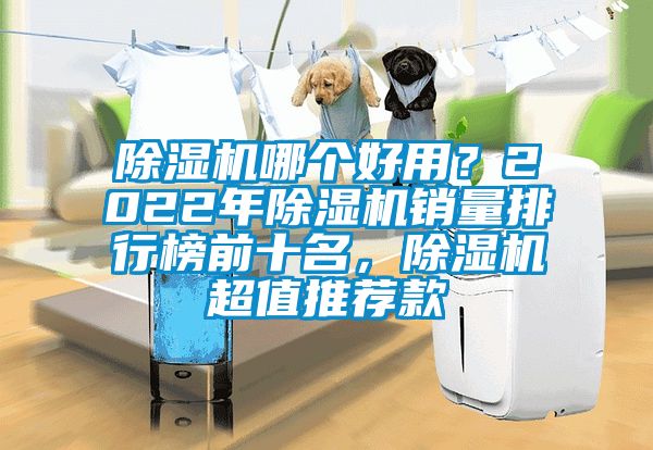 除濕機哪個好用？2022年除濕機銷量排行榜前十名，除濕機超值推薦款