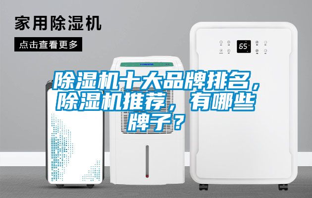 除濕機十大品牌排名，除濕機推薦，有哪些牌子？