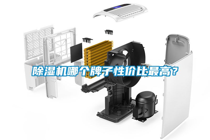 除濕機哪個牌子性價比最高？