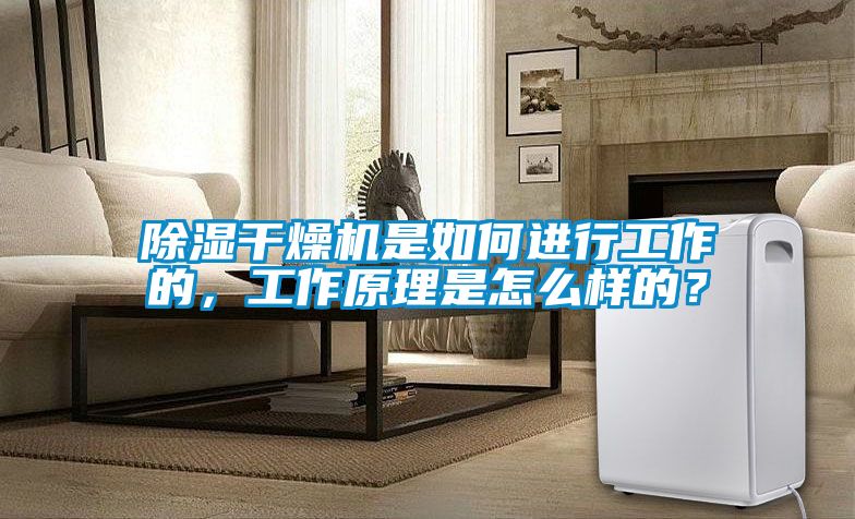 除濕干燥機(jī)是如何進(jìn)行工作的，工作原理是怎么樣的？