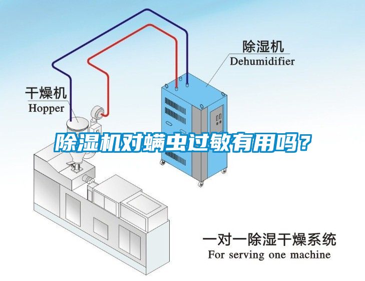 除濕機對螨蟲過敏有用嗎？