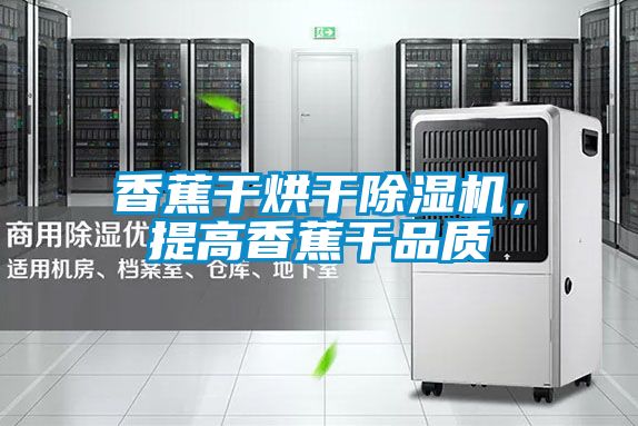 香蕉干烘干除濕機，提高香蕉干品質(zhì)