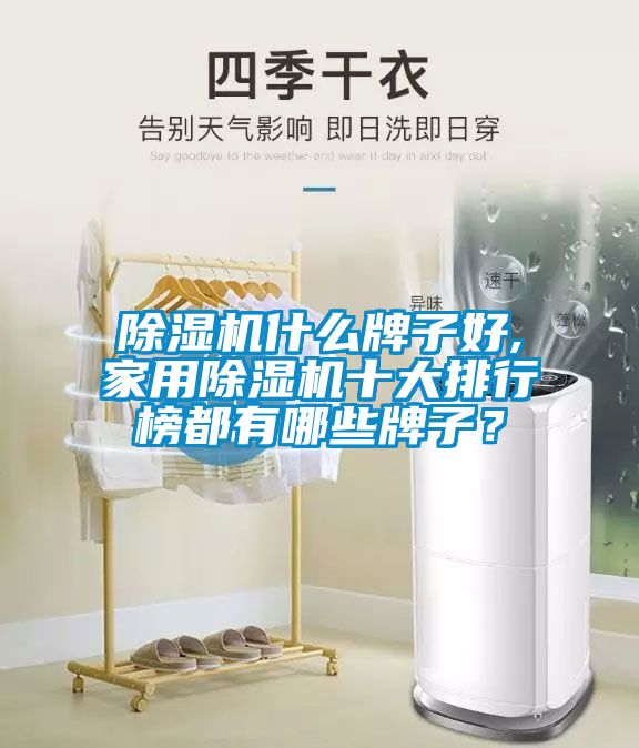 除濕機(jī)什么牌子好,家用除濕機(jī)十大排行榜都有哪些牌子？