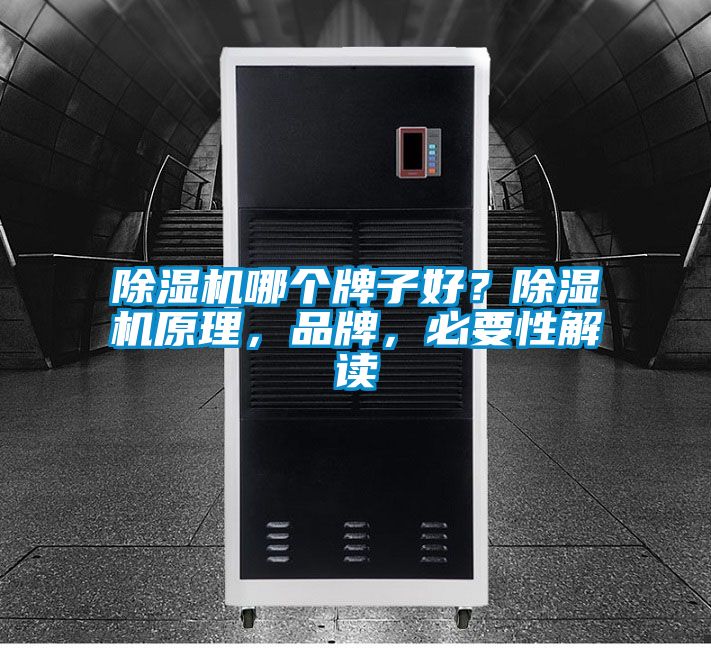 除濕機哪個牌子好？除濕機原理，品牌，必要性解讀