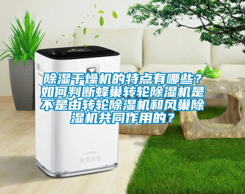 除濕干燥機(jī)的特點(diǎn)有哪些？如何判斷蜂巢轉(zhuǎn)輪除濕機(jī)是不是由轉(zhuǎn)輪除濕機(jī)和風(fēng)巢除濕機(jī)共同作用的？