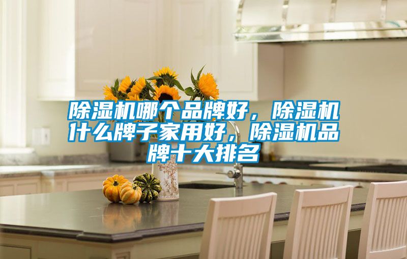 除濕機(jī)哪個(gè)品牌好，除濕機(jī)什么牌子家用好，除濕機(jī)品牌十大排名