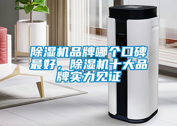 除濕機品牌哪個口碑最好，除濕機十大品牌實力見證