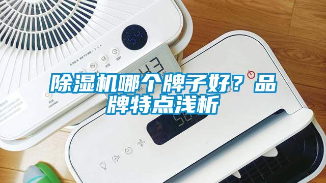 除濕機(jī)哪個(gè)牌子好？品牌特點(diǎn)淺析