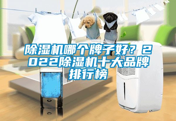 除濕機(jī)哪個(gè)牌子好？2022除濕機(jī)十大品牌排行榜