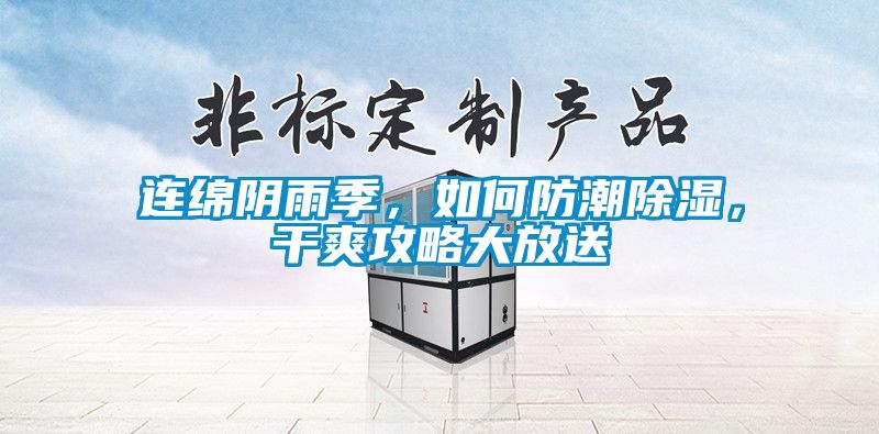 連綿陰雨季，如何防潮除濕，干爽攻略大放送