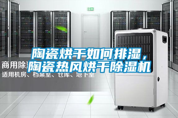 陶瓷烘干如何排濕，陶瓷熱風(fēng)烘干除濕機(jī)