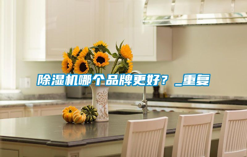 除濕機(jī)哪個(gè)品牌更好？_重復(fù)
