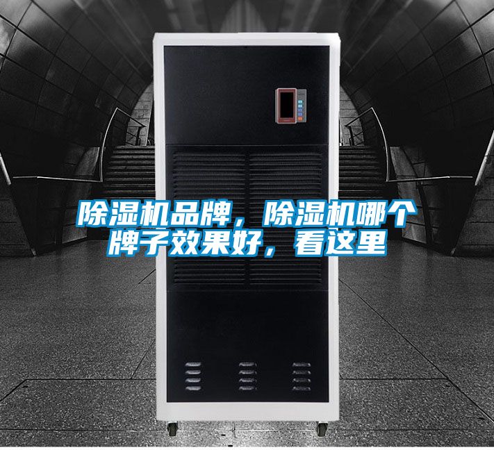 除濕機(jī)品牌，除濕機(jī)哪個(gè)牌子效果好，看這里