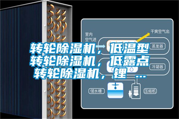 轉(zhuǎn)輪除濕機，低溫型轉(zhuǎn)輪除濕機，低露點轉(zhuǎn)輪除濕機，鋰 ...