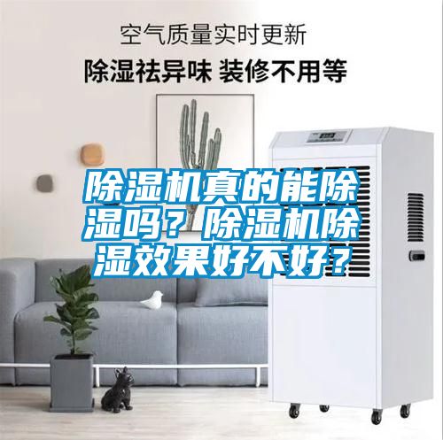 除濕機(jī)真的能除濕嗎？除濕機(jī)除濕效果好不好？