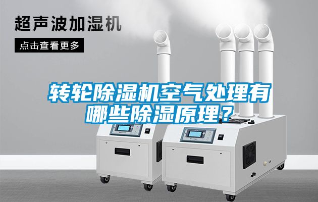 轉(zhuǎn)輪除濕機空氣處理有哪些除濕原理？