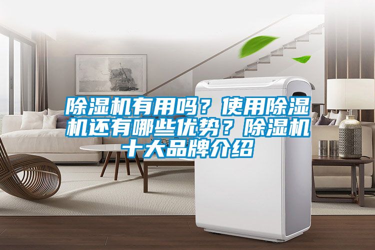 除濕機有用嗎？使用除濕機還有哪些優(yōu)勢？除濕機十大品牌介紹