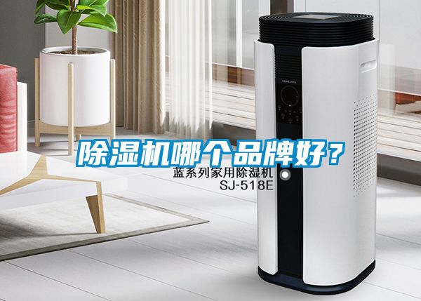 除濕機(jī)哪個(gè)品牌好？