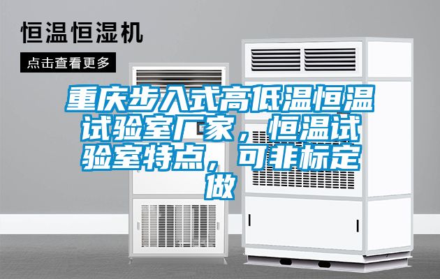 重慶步入式高低溫恒溫試驗室廠家，恒溫試驗室特點，可非標定做