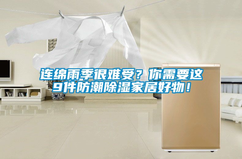 連綿雨季很難受？你需要這9件防潮除濕家居好物！