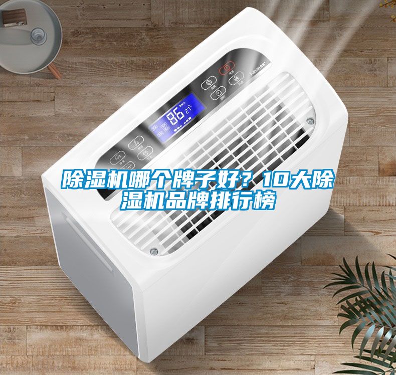 除濕機(jī)哪個(gè)牌子好？10大除濕機(jī)品牌排行榜