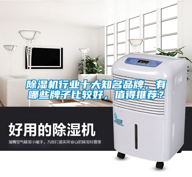 除濕機(jī)行業(yè)十大知名品牌，有哪些牌子比較好，值得推薦？