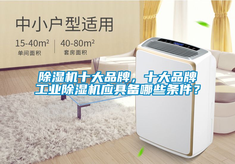 除濕機(jī)十大品牌，十大品牌工業(yè)除濕機(jī)應(yīng)具備哪些條件？