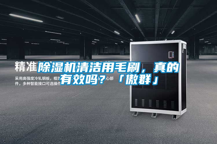 除濕機(jī)清潔用毛刷，真的有效嗎？「傲群」