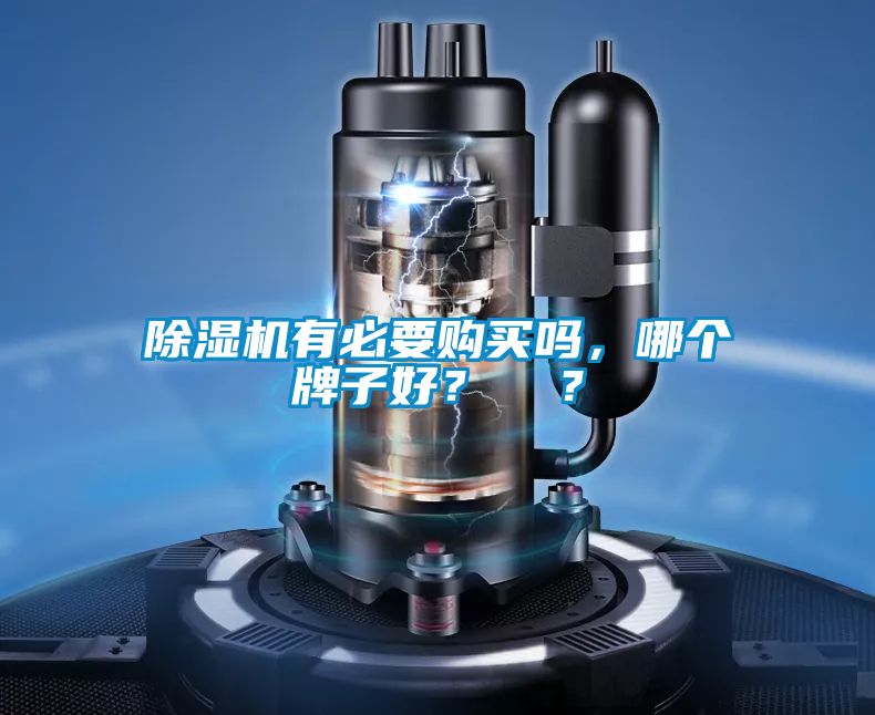 除濕機有必要購買嗎，哪個牌子好？  ？