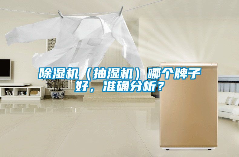 除濕機(jī)（抽濕機(jī)）哪個(gè)牌子好，準(zhǔn)確分析？