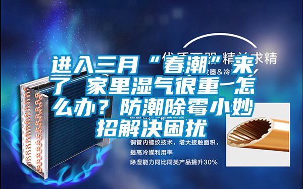 進(jìn)入三月“春潮”來(lái)了 家里濕氣很重 怎么辦？防潮除霉小妙招解決困擾