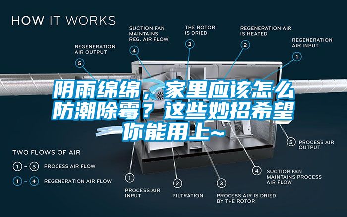 陰雨綿綿，家里應(yīng)該怎么防潮除霉？這些妙招希望你能用上~